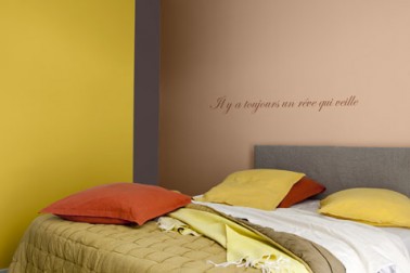 Couleurs peinture chambre-jaune safran ocre rouge taupe