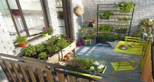 La plante de balcon d'automne est ultra-résistante et nécessite peu d'entretien. Déco Cool vous donne des idées de plantes pour aménager votre balcon adaptées à la saison