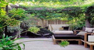 Pivoines, lauriers, plantes aquatiques, menthe, fleurs énergisantes, arbustes calmants l’astrologie donne signe par signe des idées pour fleurir jardin et balcon