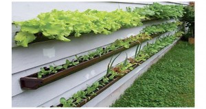 Pour ceux qui n'ont pas un grand jardin, ceux qui veulent un potager sur le balcon, voici un potager surélevé qui va vous plaire pour salades, radis, tomates....