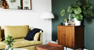 ambiance salon green