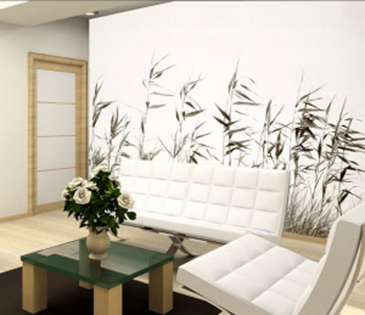 papier peint mur d'image sur grand mur salon pour créer ambiance zen
