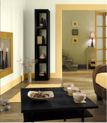 salon harmonie de couleurs naturelles gamme Dulux Valentine 