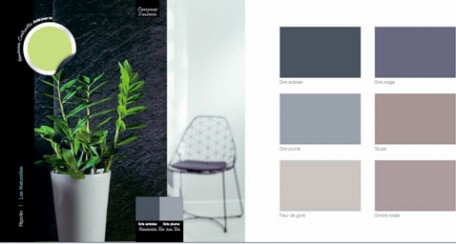 pour la décoration d'un salon d'une chambre ou d'une entrée, harmonie de couleurs et peinture gris, taupe à associer à un vert anis pour le contraste sur le tapis, un vas, ou des rideaux à partir du nuancier peinture Ripolin