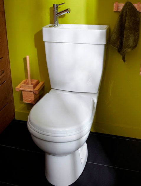 deco WC esprit nature. Aménagement ecologique avec cuvette et lave-main integré