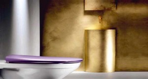Aujourd'hui la déco WC se soigne et aux toilettes design on dit oui. La cuvette, la peinture, le carrelage des WC prennent des couleurs pour décorer des toilettes comme une vraie pièce de la maison