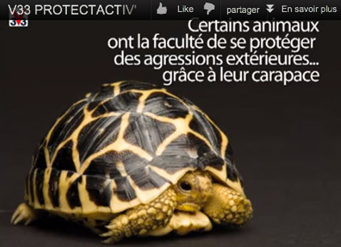 les caracteristiques techniques et les performance de la peinture anti-tache protectativ de v33