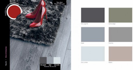 decoration salon au sol parquet chene gris, tapis acrylique gris chine, peinture murale gris souris