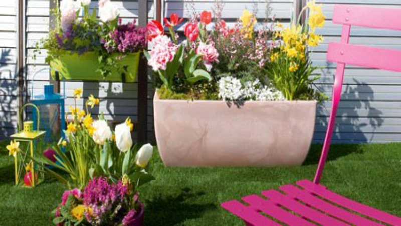 Les bulbes de tulipes, crocus, narcisses à planter pour avoir des fleurs au printemps