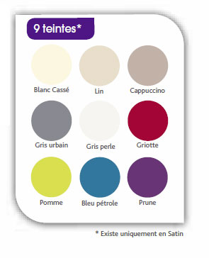 nuancier peinture radiateur acrylique Julien 9-teintes Les 9 couleurs disponibles pour la peinture spéciale radiateur des peintures Julien. Contient un antirouille.