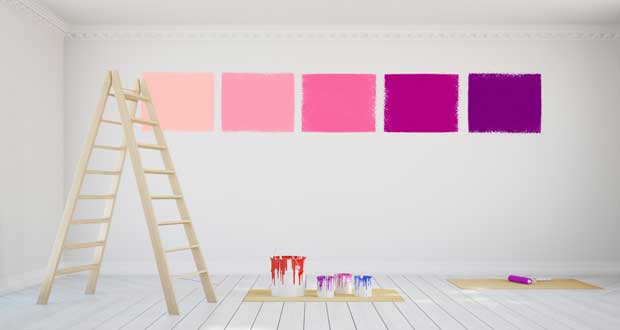 Quelle Couleur Avec La Peinture Rose Dans Chambre Salon Cuisine