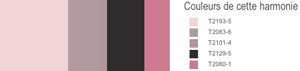 nuancier peinture murale et boiseries de la collection Totem des peintures Tollens pour construire une deco avec une peinture rose