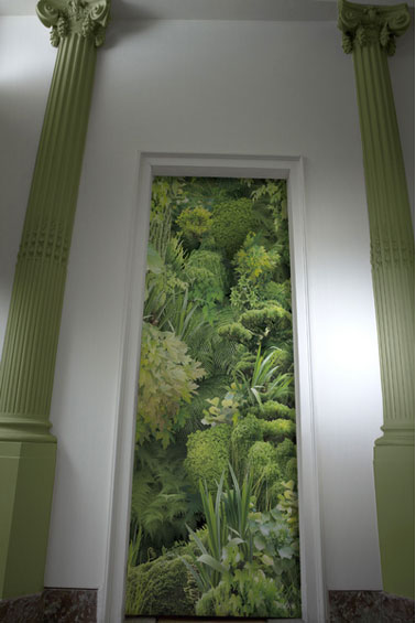 Une composition de plantes européennes et asiatiques pour une touche de verdure à placer où bon vous semble dans la maison