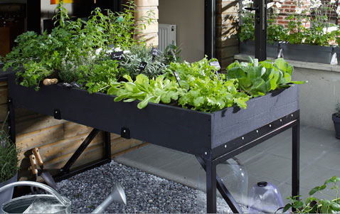Jardin potager dans bac métallique sur pied reférence Réf. transplantoir Géolia Chez Leroy Merlin à aménager sans souci sur la terrasse pour cultiver légumes et fraisiers en toute tranquillité en ville.