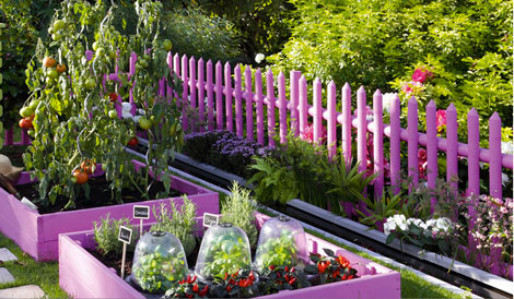 Un joli coin jardin composé de carrés potager peints en rose fushia pour la protection des bois qui donne aussi du tonus au potager le vert de la végétation en contraste