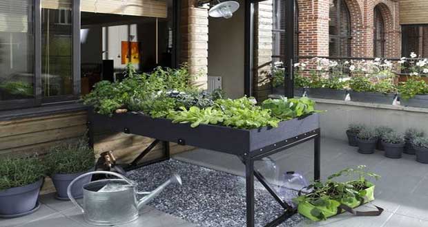 Faire un potager sur son balcon c'est bien plaisant ! Cela devient possible avec un carré potager surélevé ou sur pieds qui s’aménage sans prendre de place sur la terrasse ou le balcon