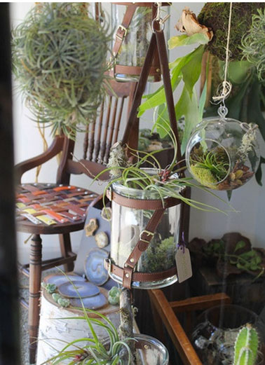 Une idée sympa pour aménager un coin jardin sur son balcon : Une composition de plantes vertes et plantes grasses accrochées dans des suspensions de cuir et verre sur le mur et le toit du balcon