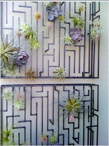 composition légère de plantes grasses Tillandsia sur mur balcon