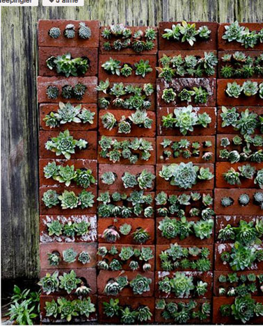 Aménagement d'un jardin sur balcon réalisé avec un mur de briques percées pour accueillir culture plantes grasses