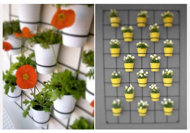 Deux idées compositions pour aménager un espace verdure sur le balcon. Unité de couleur pour chaque composition
