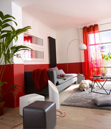 Salon peinture mur couleur blanc rehaussée de rouge pour le soubassement, canapé et tapis gris, les rideaux de voile rouge  rappellent le rouge des murs.