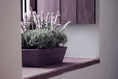 Relooking d'une jardinière en prune avec la peinture plastique Julien Pas très déco la jardinière en plastique marron caca d’oie ! Alors, on la personnalise avec un coup de peinture pour plastique couleur prune comme celle-ci placée dans l’entrée de la maison.