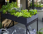carré potager bac en fersur pieds et roulettes. 8 compartiments