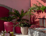 decoration terrasse, jarre et jardinière rose et rouge. Mur en pierre et végétaux
