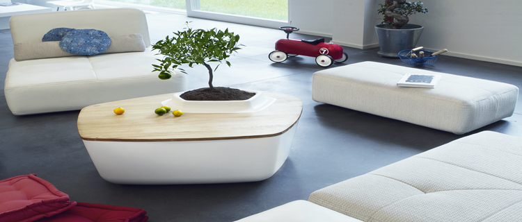 Table basse design Volcane avec un arbuste incrusté dans un salon au design épuré