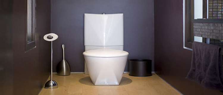 Le Carrelage Wc Se Met à La Couleur Pour Faire La Déco