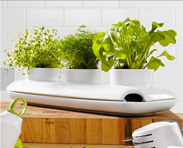 jardinière en grès blanc pour plantes aromatiques avec réserve d'eau