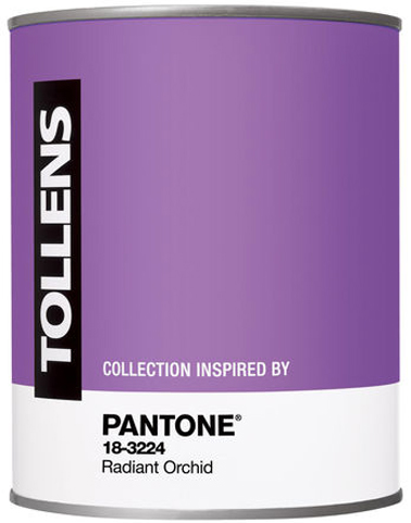 Pot peinture couleur radian Orchid By Pantone de Tollens en vente chez Castorama