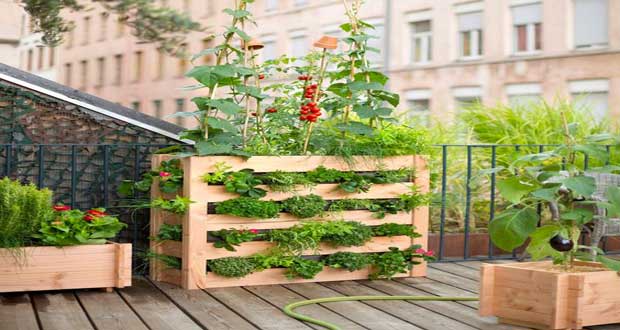 Des idées pratiques et gain de place pour faire un potager sur le balcon : potager dans des sacs de toile à poser ou suspendre, potager vertical en bois...