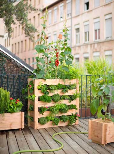 Le potager vertical, l’autre solution pour cultiver fruits et légumes sur le balcon. Potager vertical en pin douglas PEFC non traité avec feutre de plantation, prix : 118 euros, chez Botanic