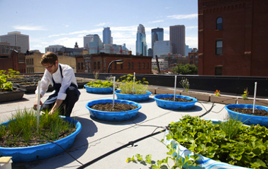 Faire un potager sur balcon en s'inspirant du concept de potager sur les toits de New York développé par Michelle Obama