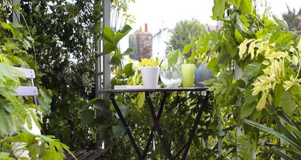 15 idées pour aménager un petit balcon avec jardin Balcon DIY idées