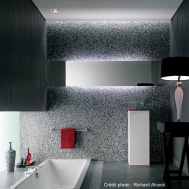 Joint carrelage couleur anthracite effet pailleté pour faïence salle de bain design noir et blanc