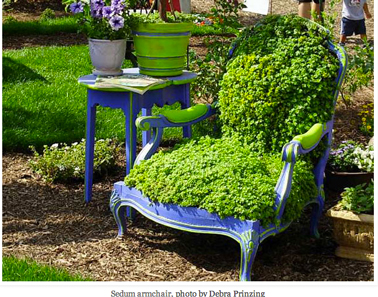 fabriquer une jardinière pour le jardin avec un vieux fauteuil Voltaire. remplacer bourrage par planche de bois, remplir de terre et planter petites plantation verte