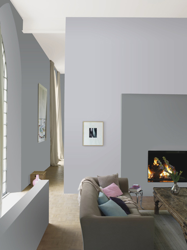 Exemple deco salon zen avec peinture gris souris et gris perle sur cloison salle à manger qui s'harmonisent avec la couleur taupe du canapé. Peinture Le mat Dulux Valentine 