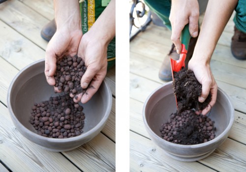 Planter des plantes aromatiques sur son balcon , commencez par deposer des billes d'argile au fond du pot qui assureront un bon drainage
