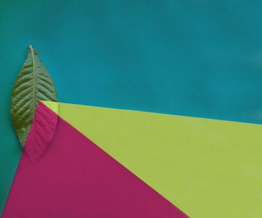 mercadier-peinture-couleur-splendeur-5