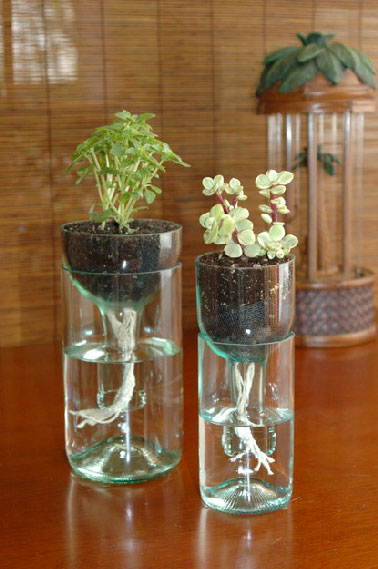 remplissez de terre la partie haute de la bouteille, plantez une plante miniature puis posez l'ensemble sur la partie basse du nouveau vase après l'avoir rempli au 2/3 d'eau. Les racines étant attirées par l'eau, les arrosages et la lumière feront le reste 