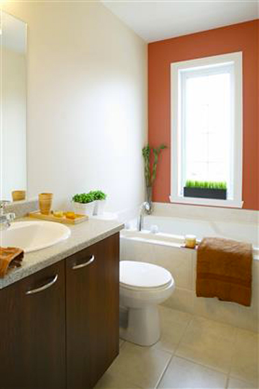 Un coup de Peinture couleur rouge terre sur le mur de la baignoire, complétées de touches de marron et de vert pour donner un coup de peps à la salle de bain sans tout changer