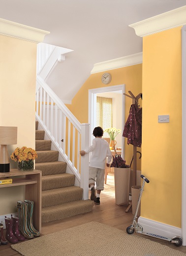Laissez entrer le soleil avec ce nuancier. Associez une peinture jaune tournesol avec un raffiné beige crème donne une ambiance estivale et chaleureuse à la pièce. La peinture foncé ocre s'accordera quant à elle à merveille avec des couleurs plus en retenue comme le jaune pastel.