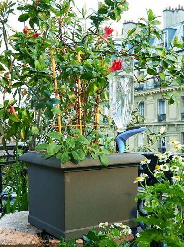 L'arroseur H2O, une manière pratique d'arroser juste ce qu'il faut votre plante en connaissant précisément ses besoins. Pas encore sorti par la marque Parrot, l'arroseur H2O se présente comme le digne successeur du Flower Power. Disposant d'une batterie de capteurs permettant d'appréhender les besoins de la plante, ce système permet aussi d'y adapter une bouteille d'eau afin d'automatiser l'arrosage.