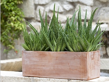 De la terre cuite pour jardinière, un écrin parfait pour mettre en valeur les plantes vertes La jardinière en terre cuite d'antan reprend du service à l'extérieur ! Apportant un côté chic et romantique au balcon ou à la terrasse, son aspect naturel met élégamment les plantes en valeur. Avec des lignes simples et épurées, ces écrins végétaux sont raffinés et pleins de charme. Idéals pour apporter une dose de sophistication à l’extérieur. Photo : Truffaut