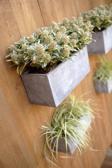 Parce qu’un mur végétal se doit d’être composé de supports végétaux légers, la fibre est sans conteste son meilleur allié ! La preuve avec ces jardinières miniatures au style contemporain dignes de leurs grandes sœurs et à la légèreté sans pareille. Faciles à fixer et esthétiques, elles permettent de créer aisément un mur verdoyant sur le balcon ou la terrasse. Photo : Leroy Merlin