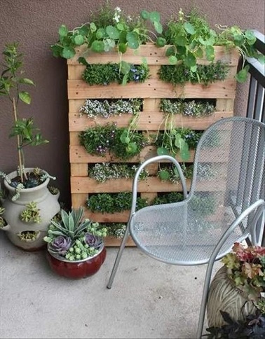 Une jardinière verticale en palette comme un mur végétal idéal pour décorer les petits extérieurs Utilisez les palettes pour fabriquer un mur végétal sur votre balcon ! Cet aménagement ingénieux se réalise comme une jardinière en palette puisqu'il suffit de fermer les orifices horizontaux de la palette pour y planter de votre verdure. En l’occurrence, cette palette en bois présente de petits interstices qui permettent aux plantes vertes de pousser jusqu'en dehors de la palette créant alors un véritable mur végétal et naturel. Peu épaisse, cette palette détournée en jardinière comporte d’autres avantages puisqu’elle prend très peu de place et trouvera donc parfaitement sa place sur les petits balcons pour apporter un air de nature à l’extérieur. Source : dumpaday.com