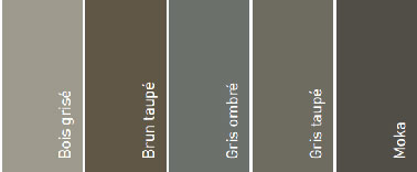 5 couleurs pour peindre une terrasse bois : Bois grisé,  Brun  Taupe, Gris Ombré et Moka de V33