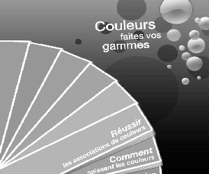 simulation peinture sol et mur, papier peint et couleur decoration, meuble,coussin,tapis,